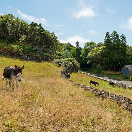 Casa Da Figueirinha Villa Calheta de Nesquim Luaran gambar