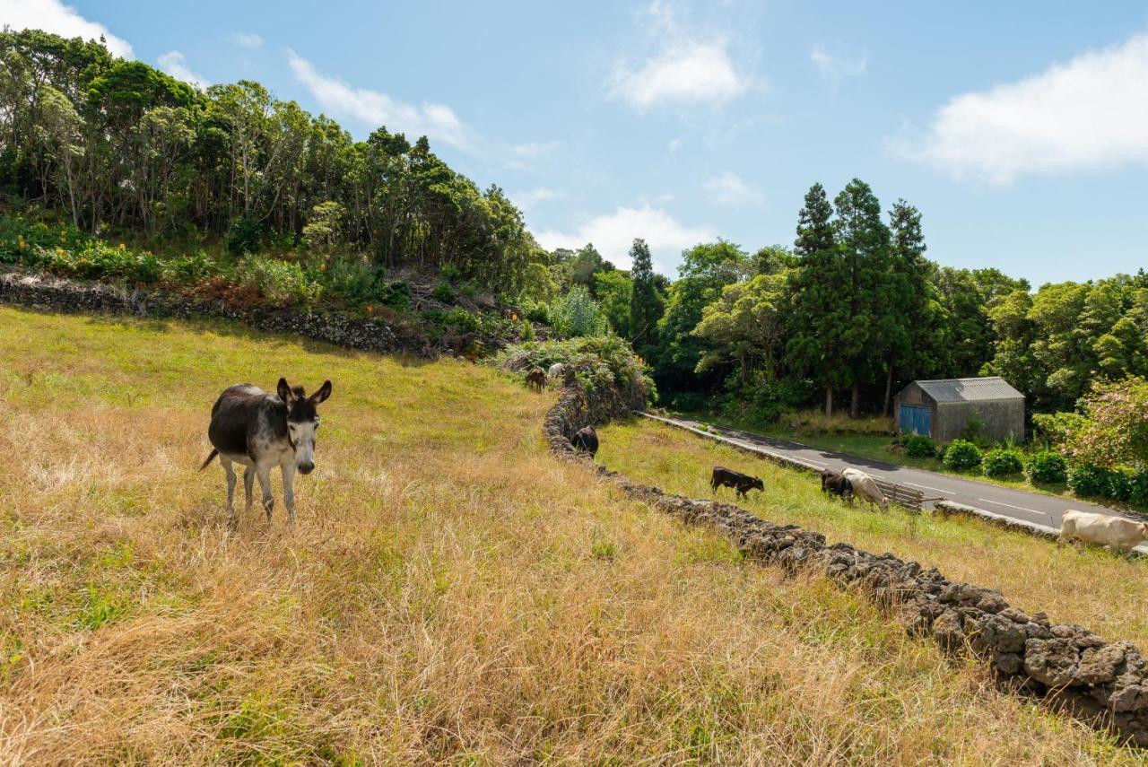 Casa Da Figueirinha Villa Calheta de Nesquim Luaran gambar